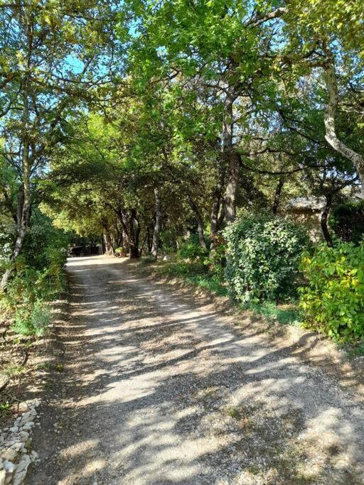Villa Le Bosquet En Luberon. Ménerbes Exterior foto